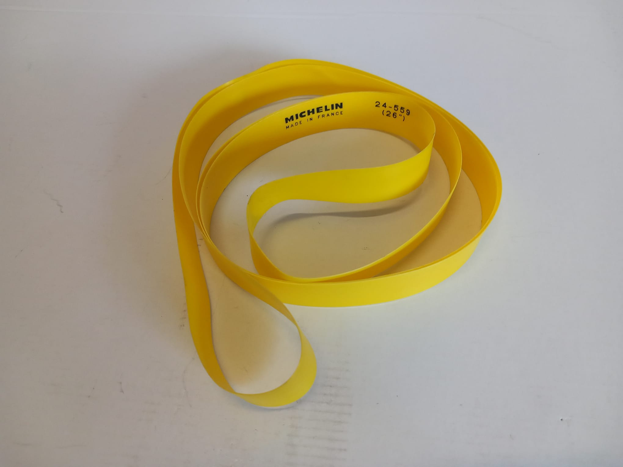 PARANIPPLES
