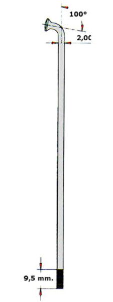 RAGGI SAPIM LEADER ARGENTO 250