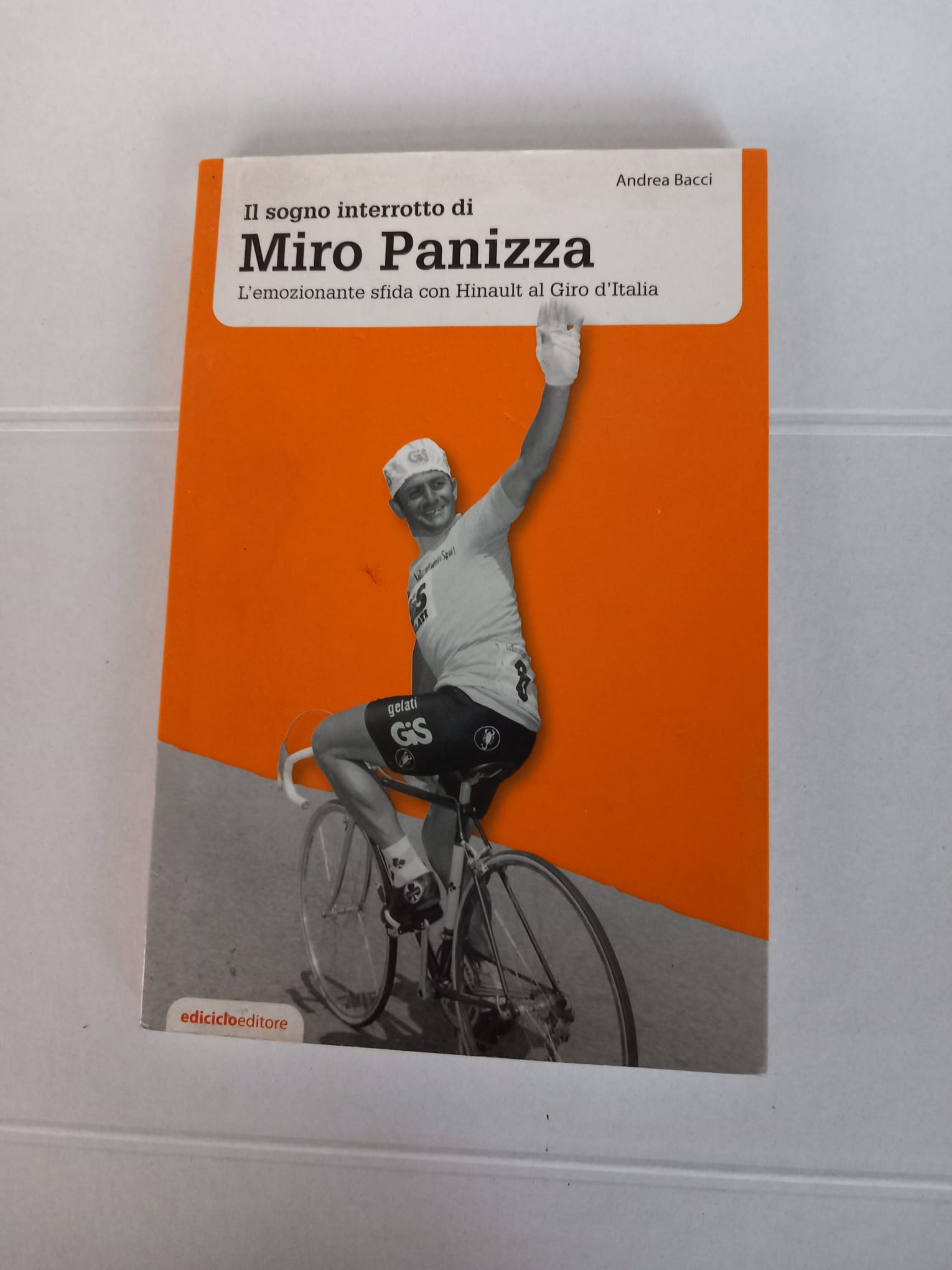 IL SOGNO INTERROTTO DI MIRO PANIZZA