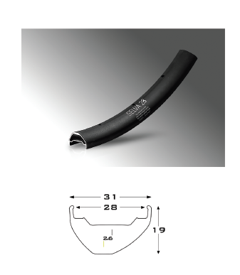 CERCHIO SELVA 28 FORI 29 ' 622 