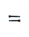 VITERIA PER FLATMOUNT M5 X 33
