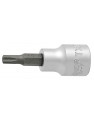 BUSSOLA TORX - 3/8 - 20