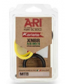 ARI.A001