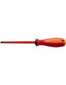 CACCIAVITE TORX 25 CON FORO